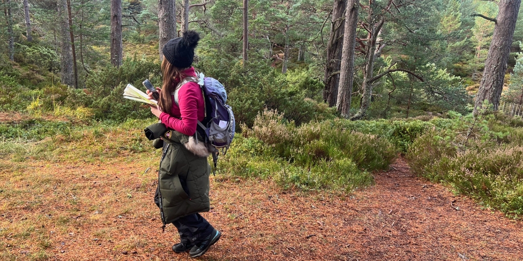 Mae cerddwr yn sefyll ar lwybr mewn coetir, wedi’i amgylchynu gan goed pinwydd tal a llysdyfiant trwchus gwyrdd. Mae’r cerddwr yn gwisgo dillad awyr agored, gan gynnwys het wlân dywyll gyda pom‑pom blewog, cot badog hir, trowsus tywyll a sgidiau cerdded cadarn. Mae backpack ar gefn y cerddwr, ac mae sbienddrych yn hongian wrth yr ystlys. Mae’r cerddwr yn dal map papur wedi’i blygu mewn un llaw a ffôn symudol yn y llall, fel pe bai’n llywio’r daith. Mae llawr y coetir wedi’i orchuddio â nodwyddau pinwydd, mannau o wellt a llwyni isel, gan greu awyrgylch dawel naturiol ymhlith y coed.