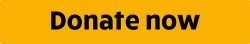 donate now button