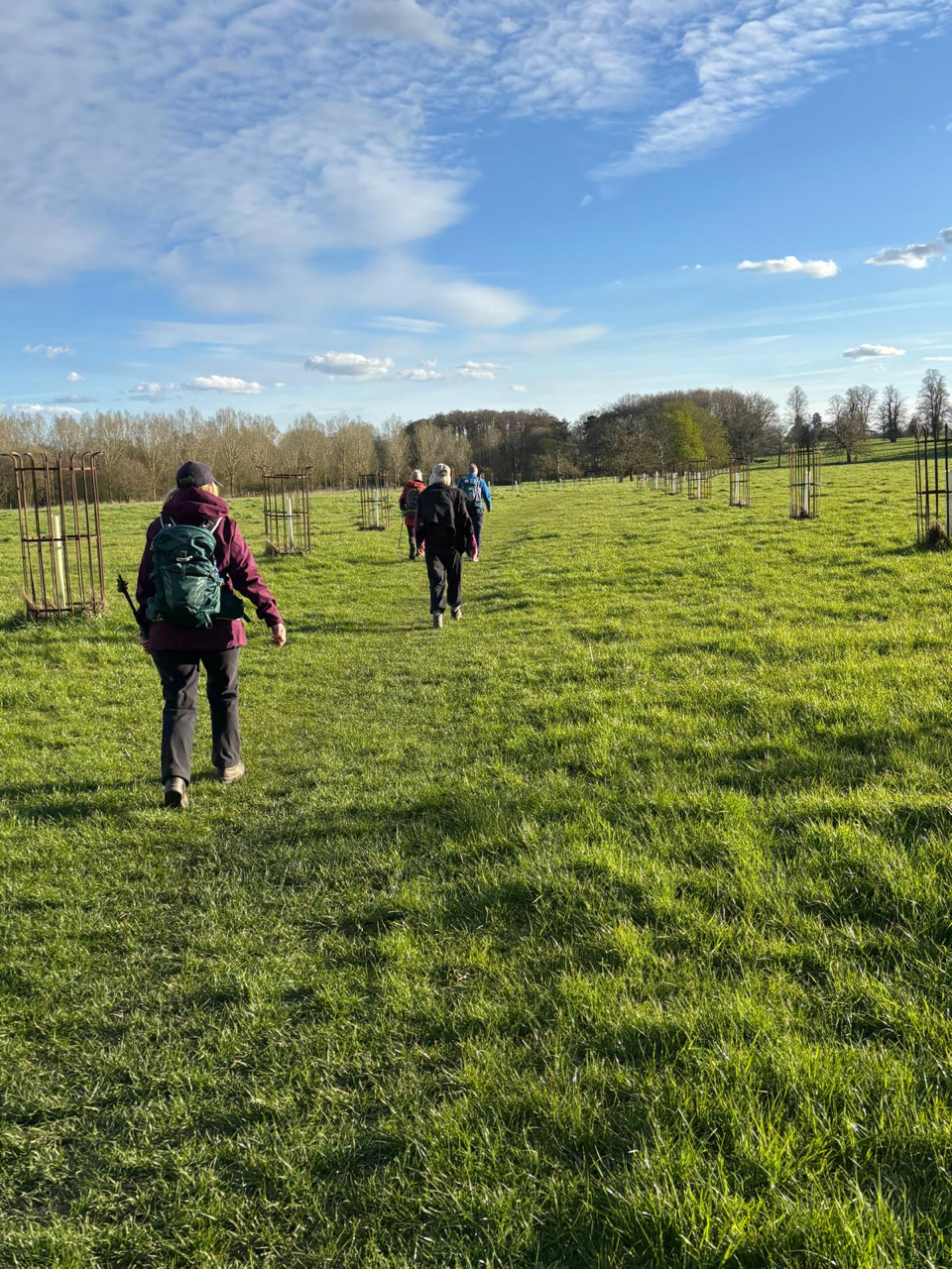 future tree lined avenue