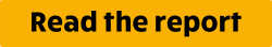 read the report