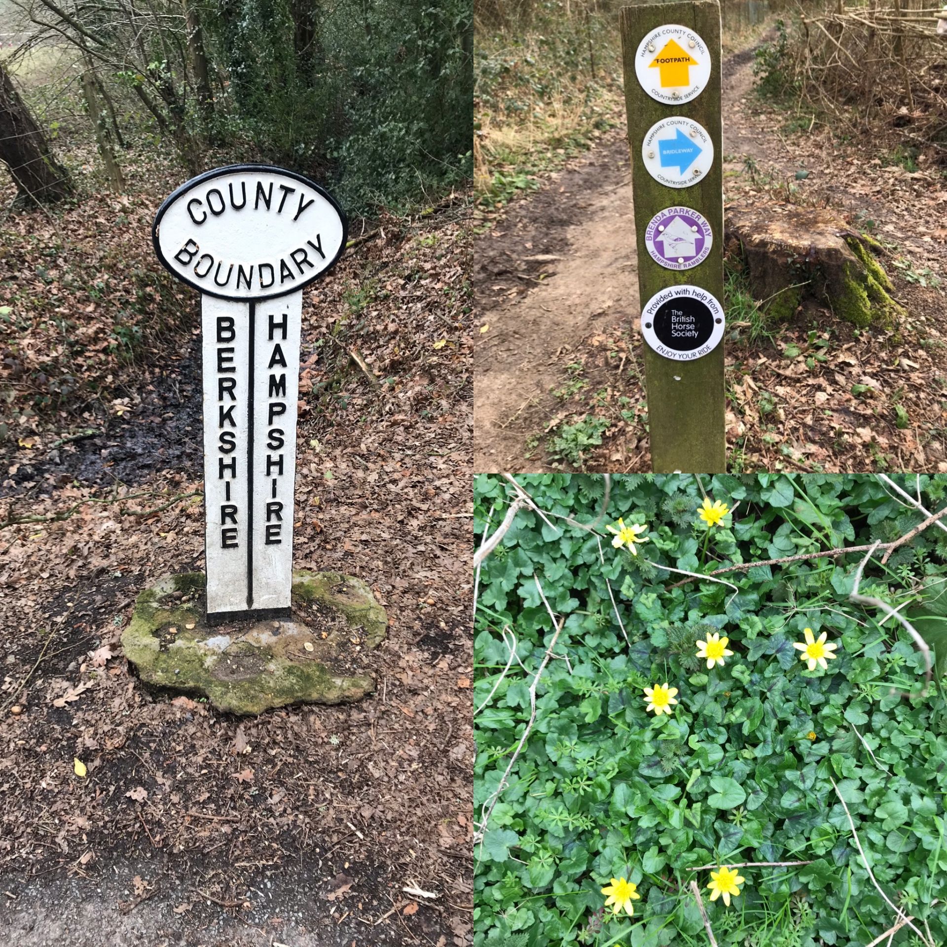 Baughurst Walk image