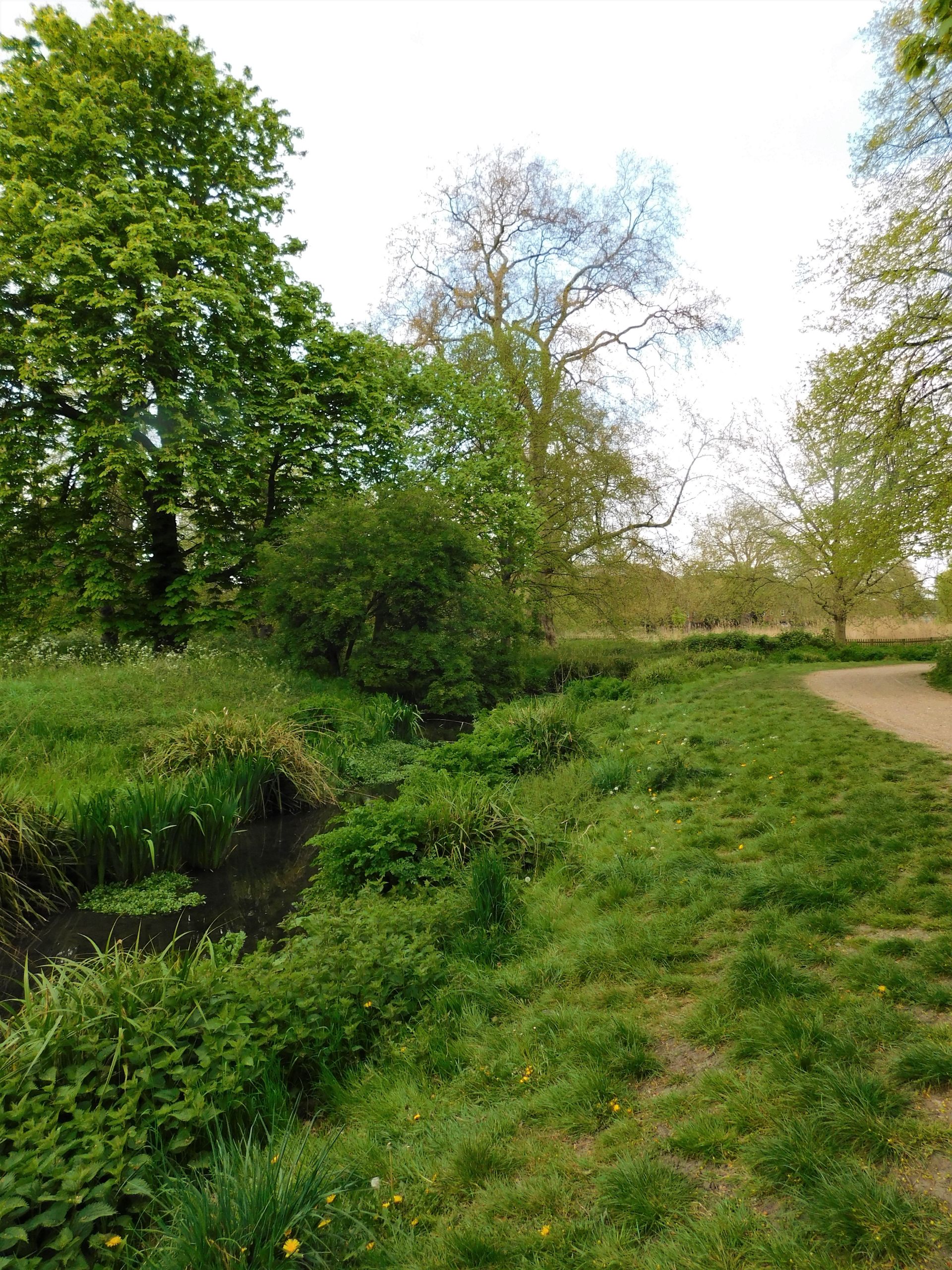 Away Day - River Wandle Walk (12.5 miles / 20 km - Moderate, Booking ...