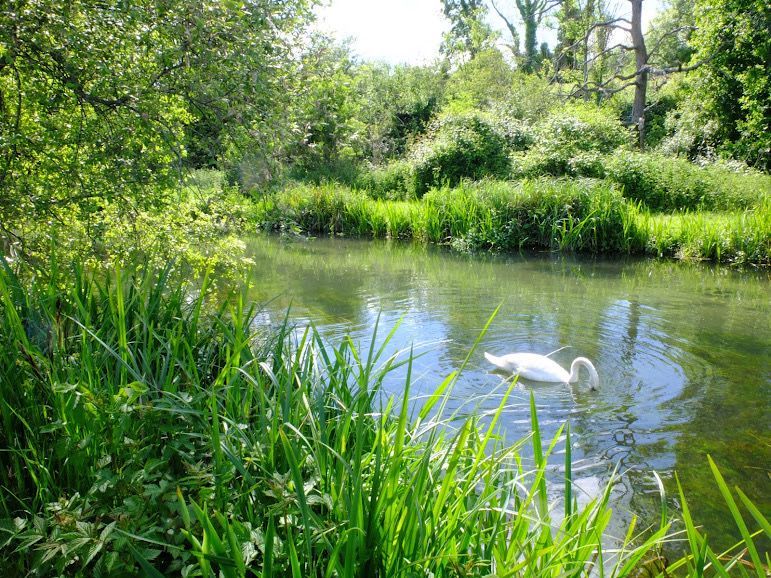 River Itchen.