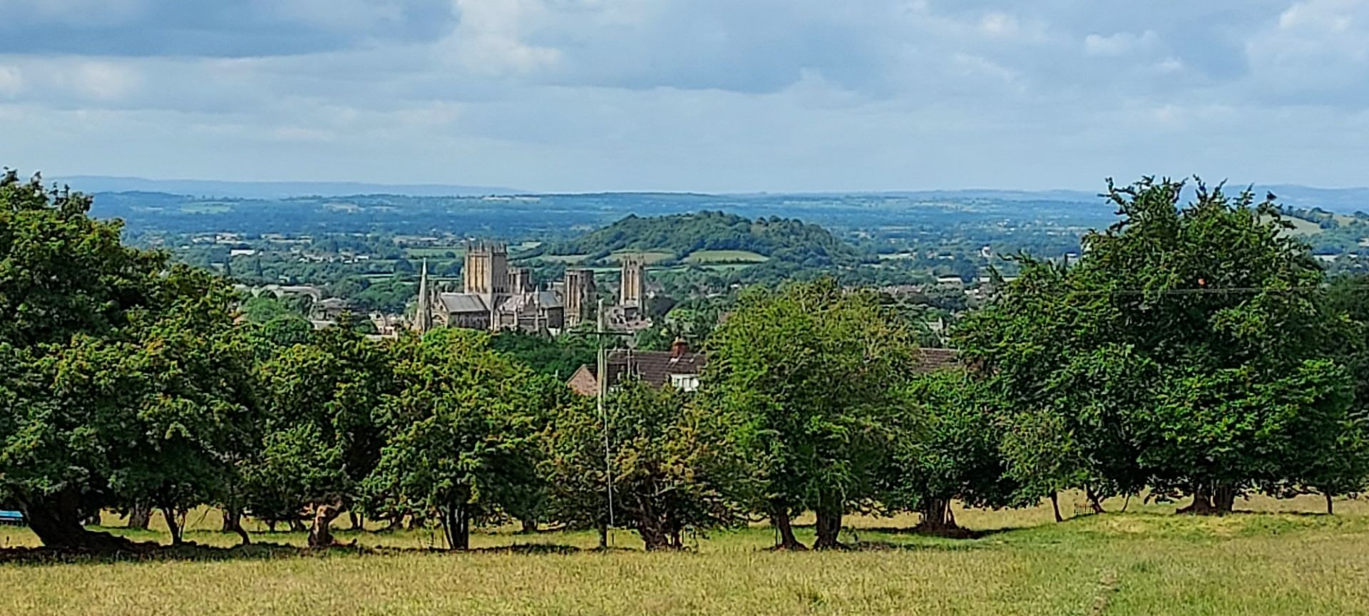 Wells Cathedral in the distance