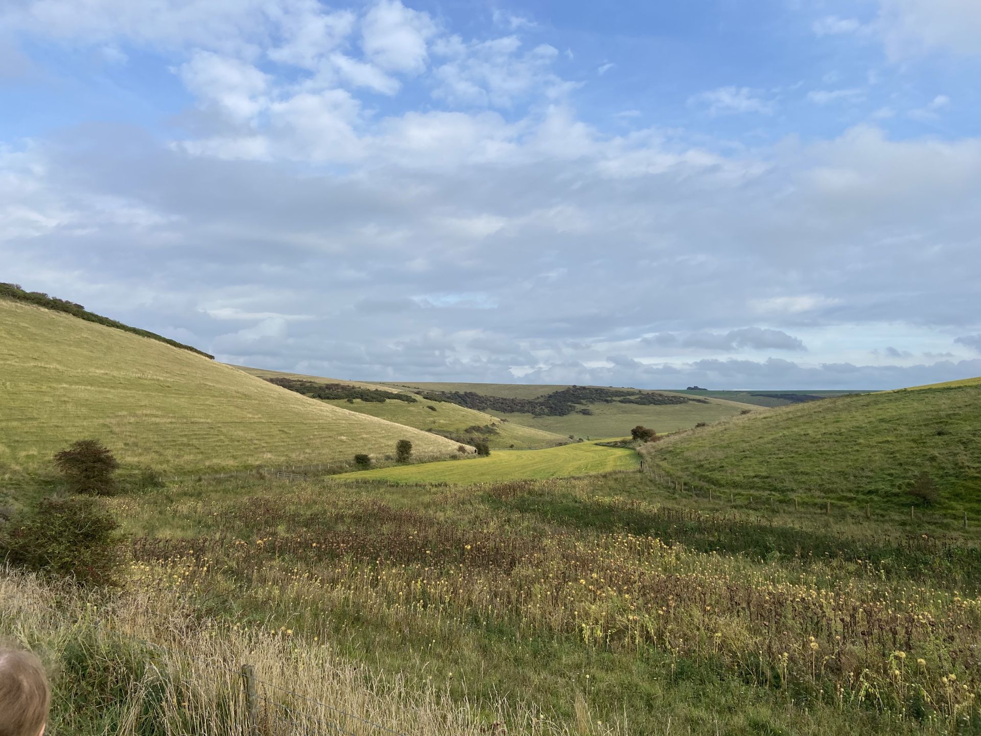 A view over the South Downs
