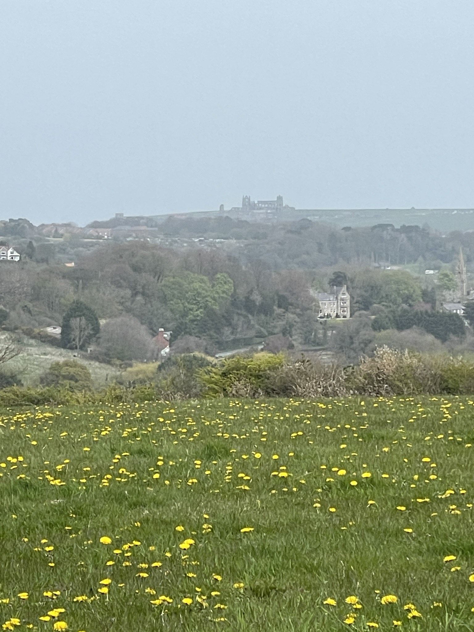 Whitby Sun Coach Trip - Grosmont to Whitby - Sun 18th June - Ramblers