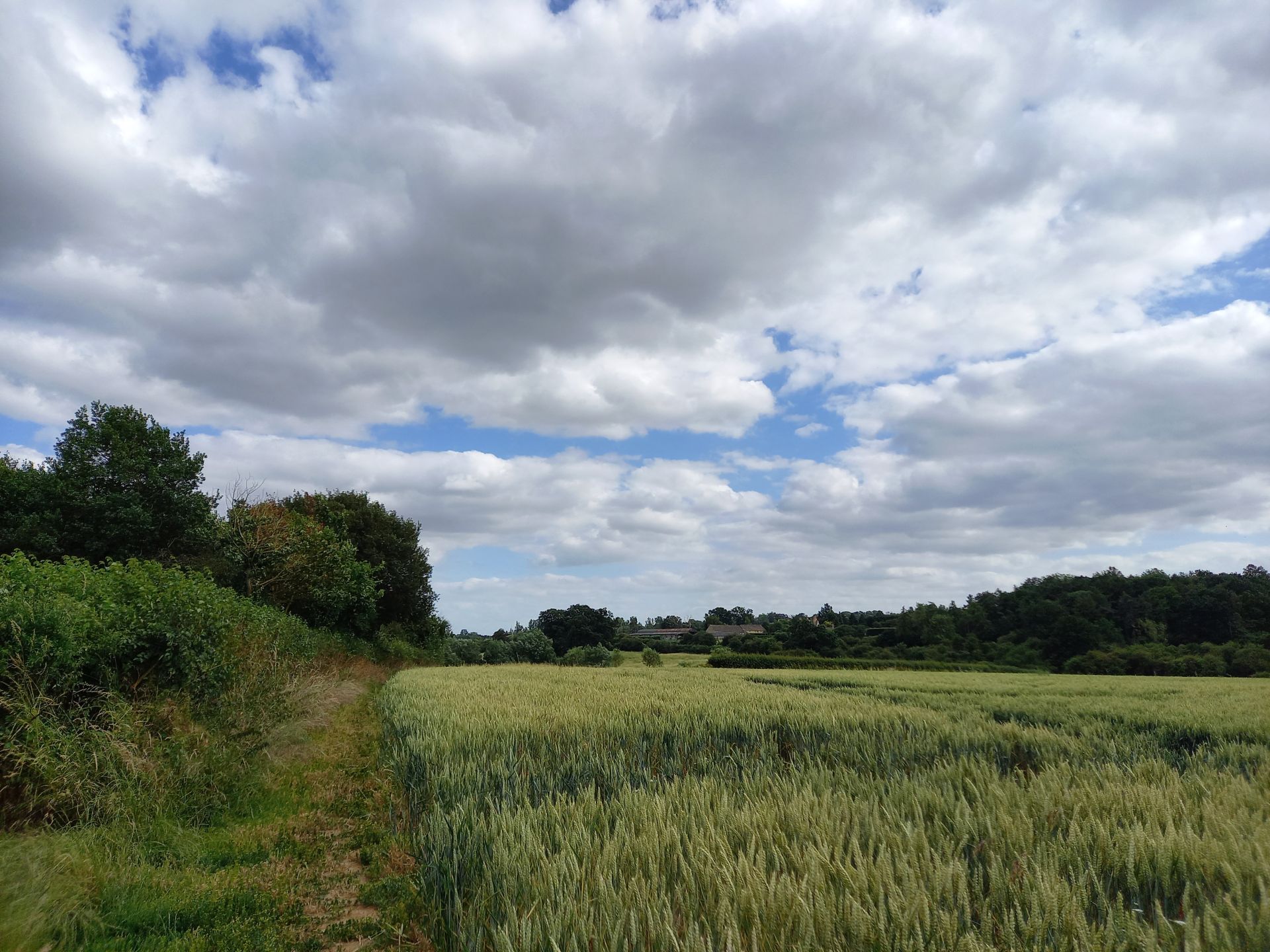 Field view near Charlbury