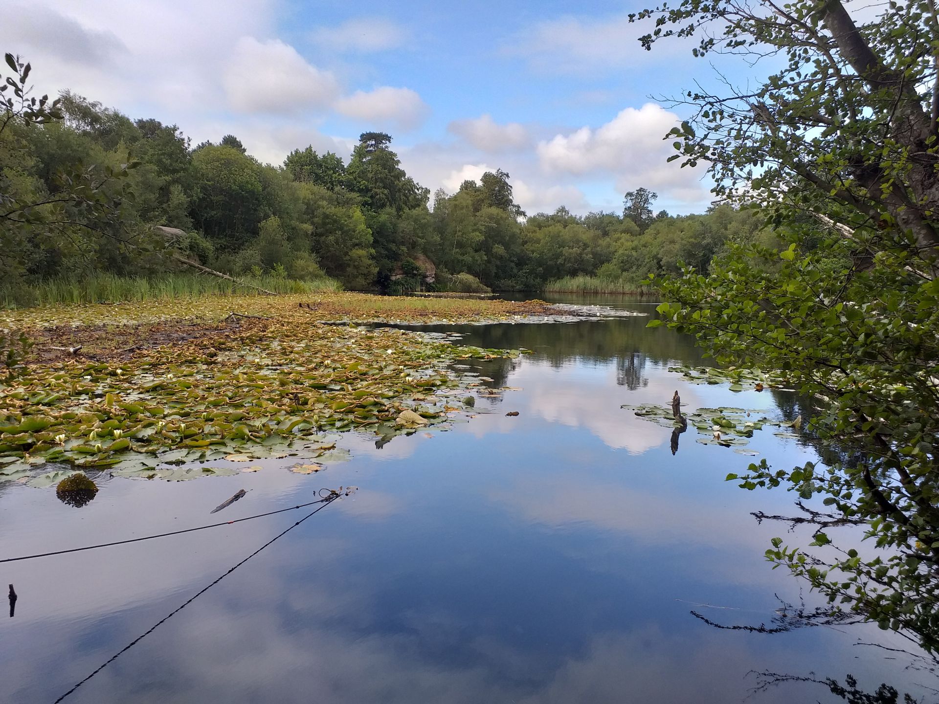 Lake Wood