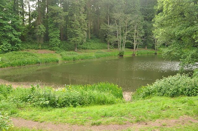 Soudley Pond