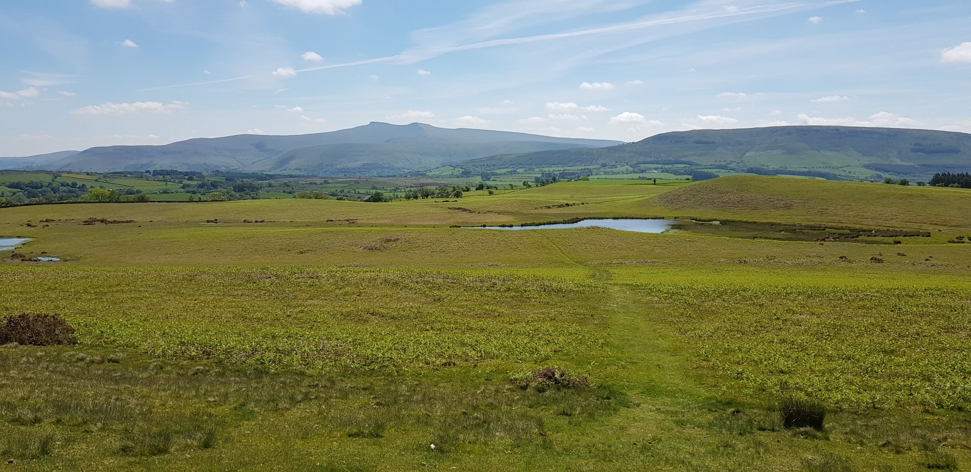 Cefn Llechid - Ramblers