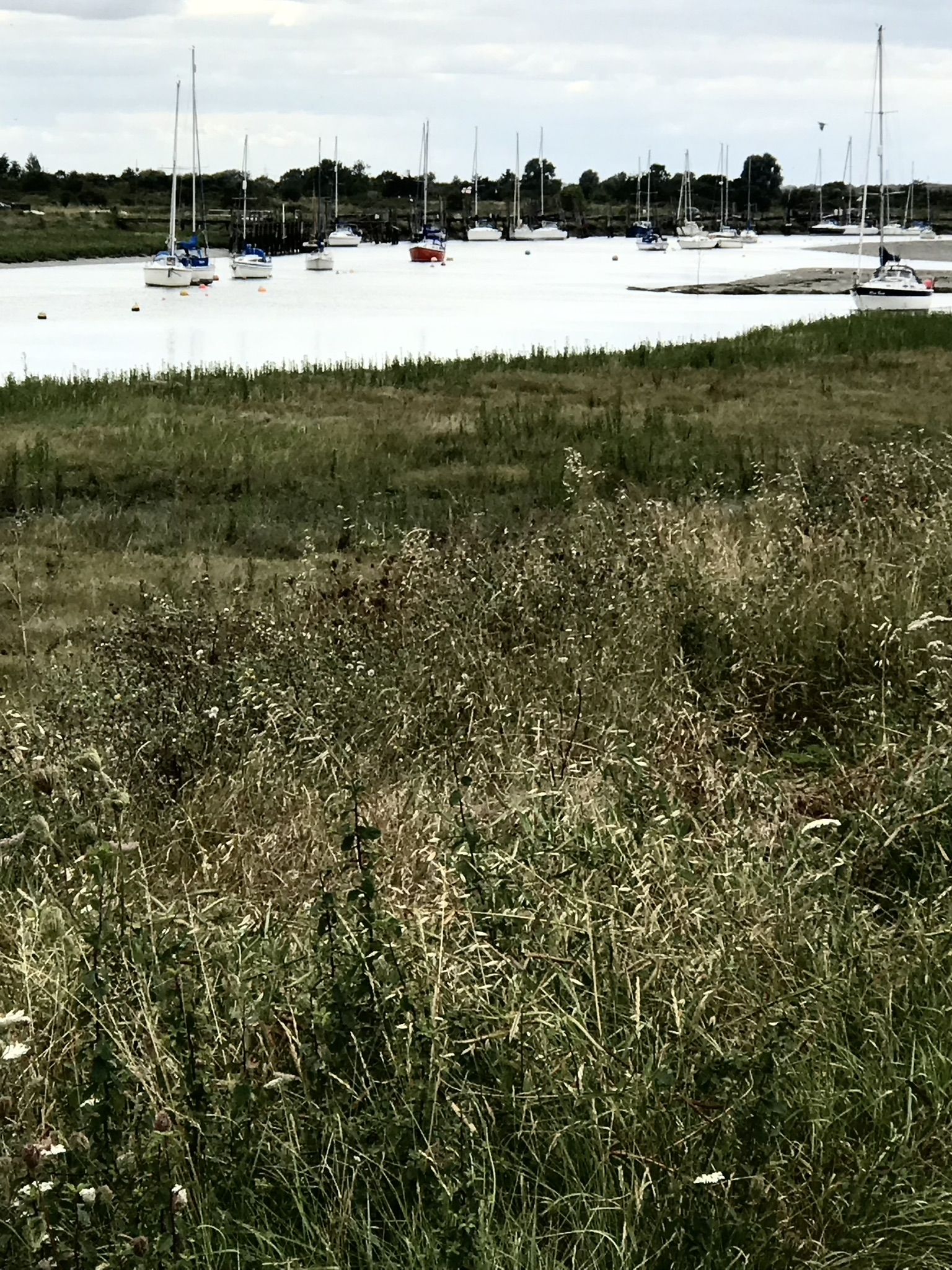 Benfleet Sailing Club