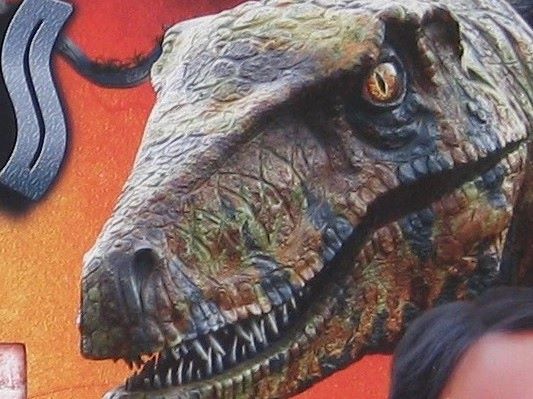 Walk on the wild side