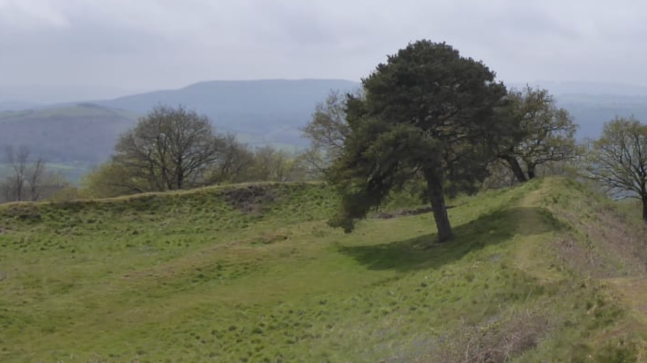 Burrow Fort