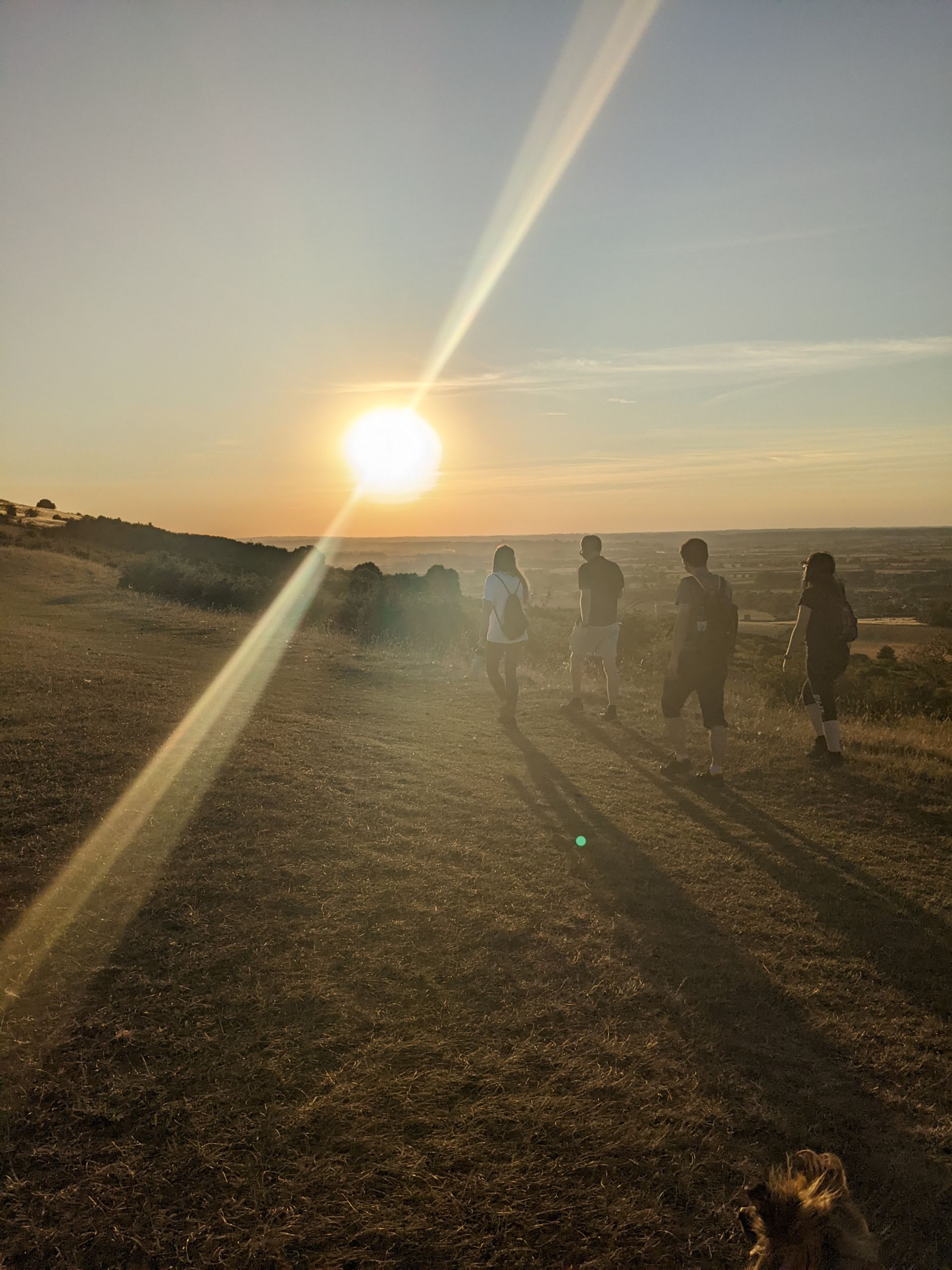 The walk at sunset