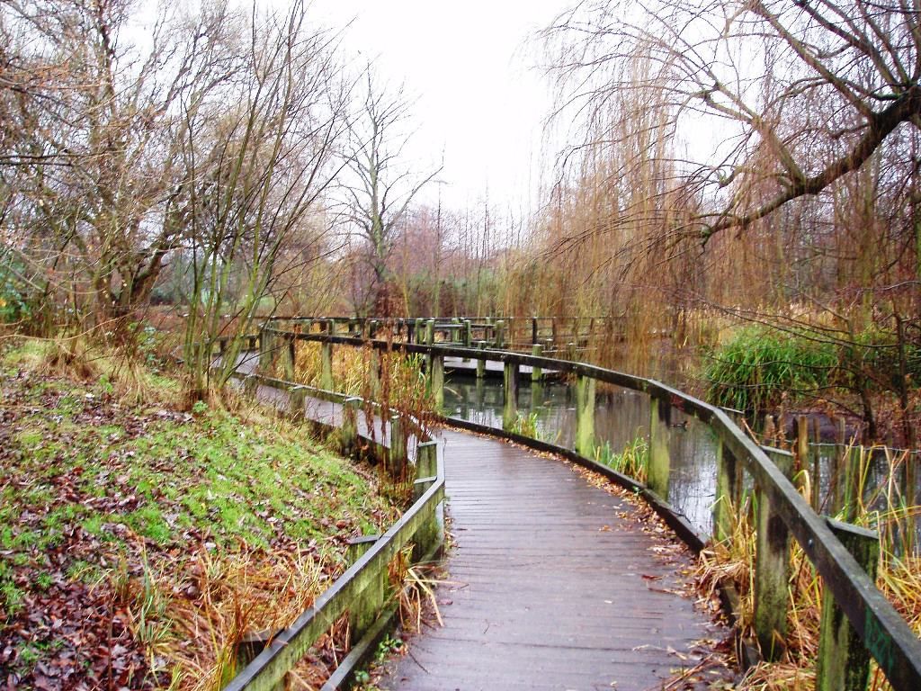 Photo of "A boardwalk in Wandsworth Common" taken by Ewan Munro