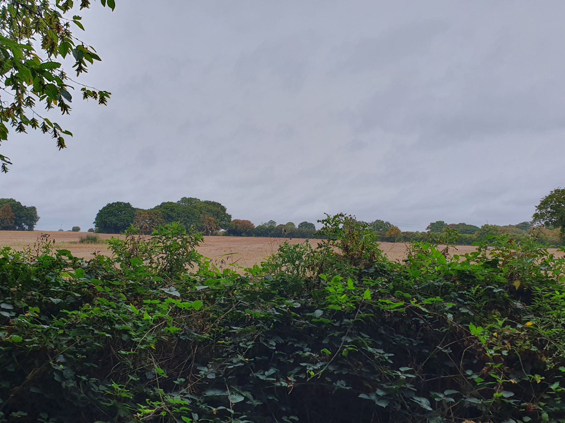 View from the path across fields