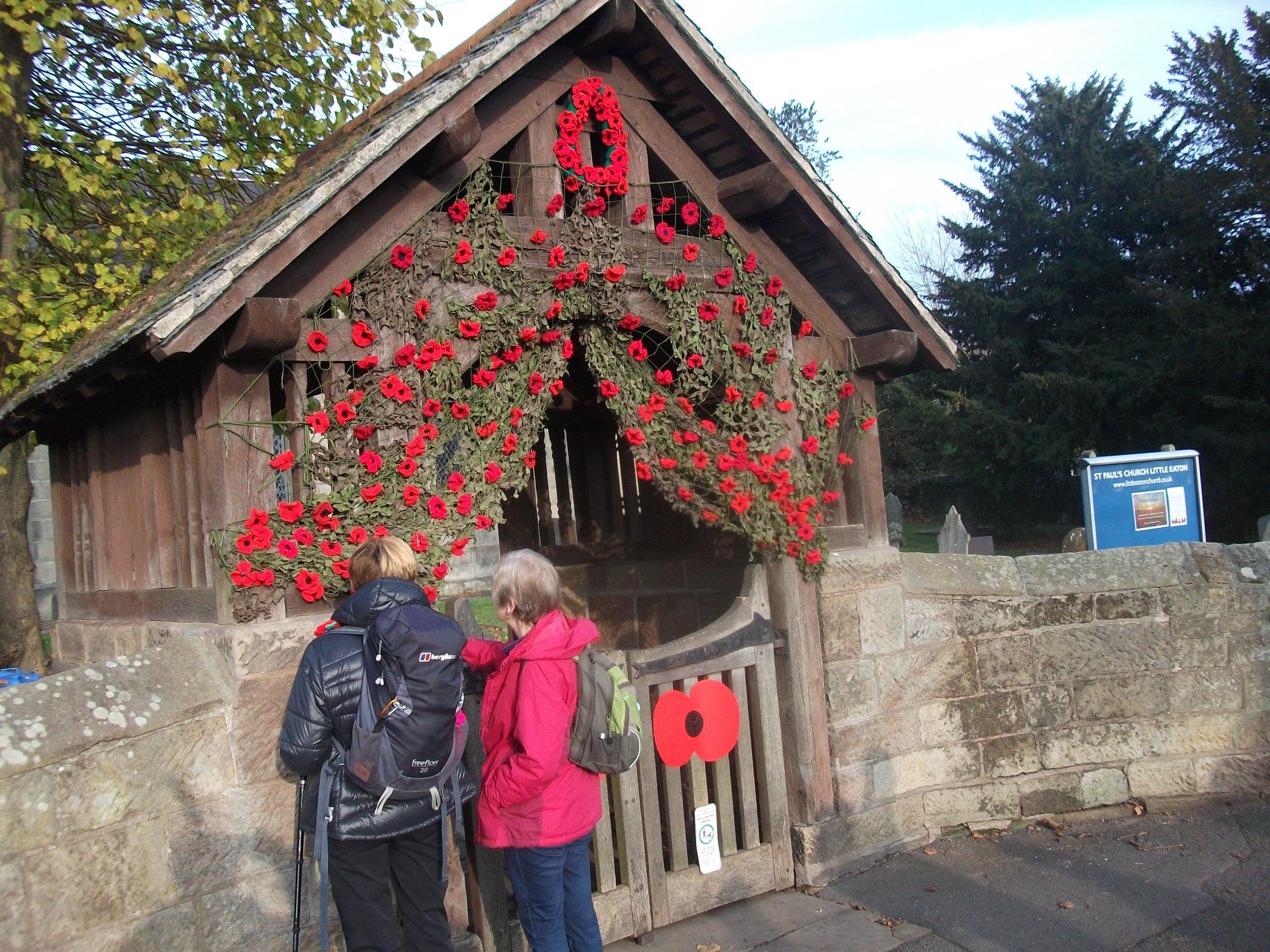 rememberance poppies