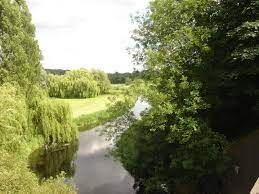 Wensum River
