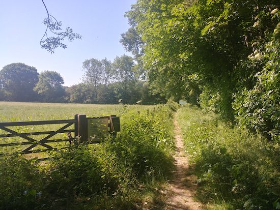A footpath leading to Wood End