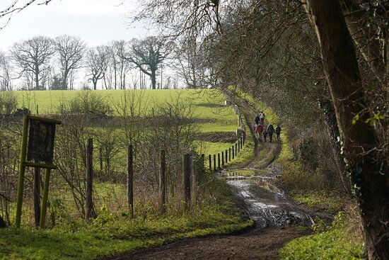Walking through Church Farm