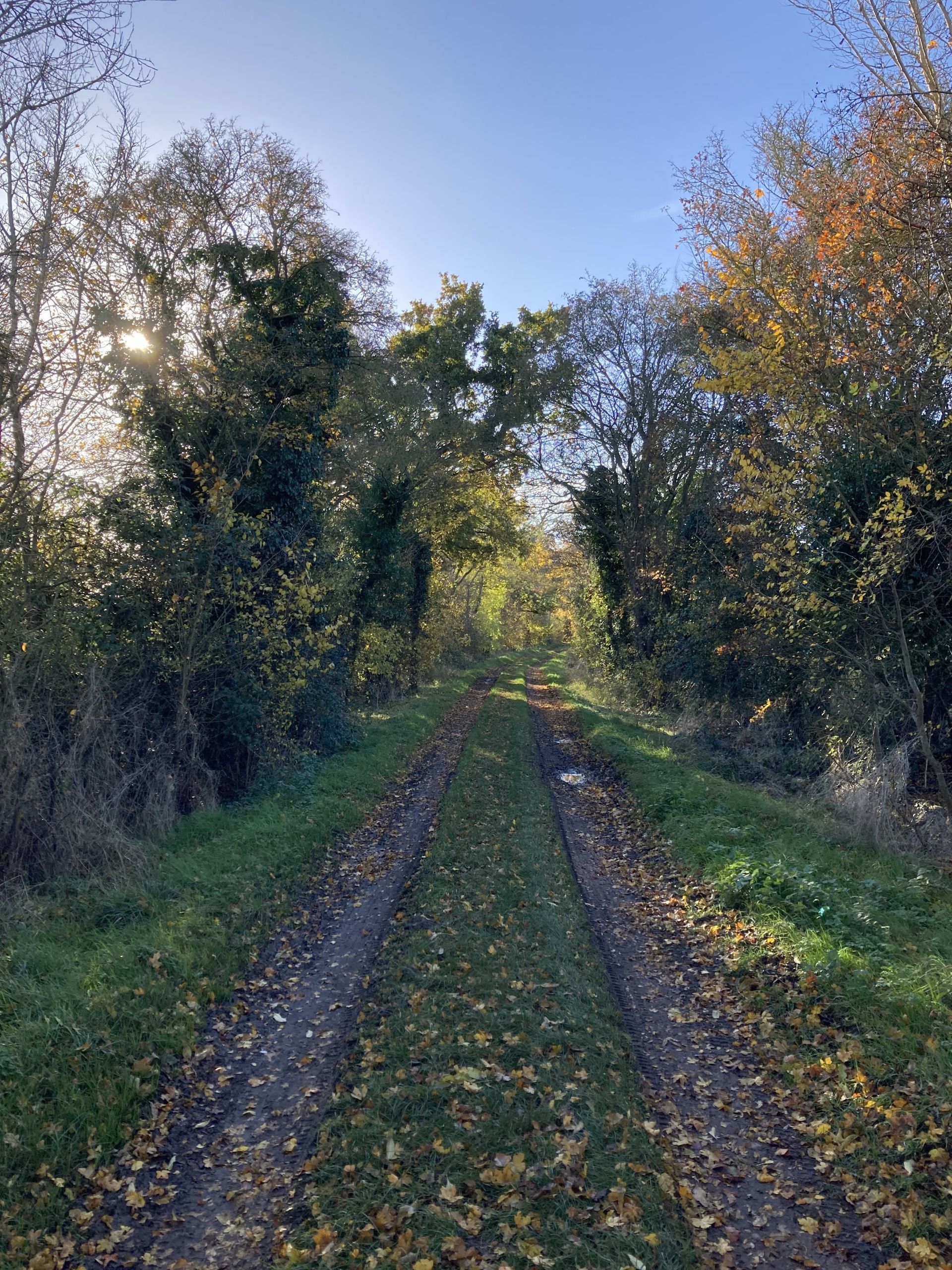 Abbotsley - Ramblers