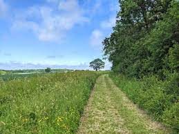 A country path between Nuthampstead and Anstey