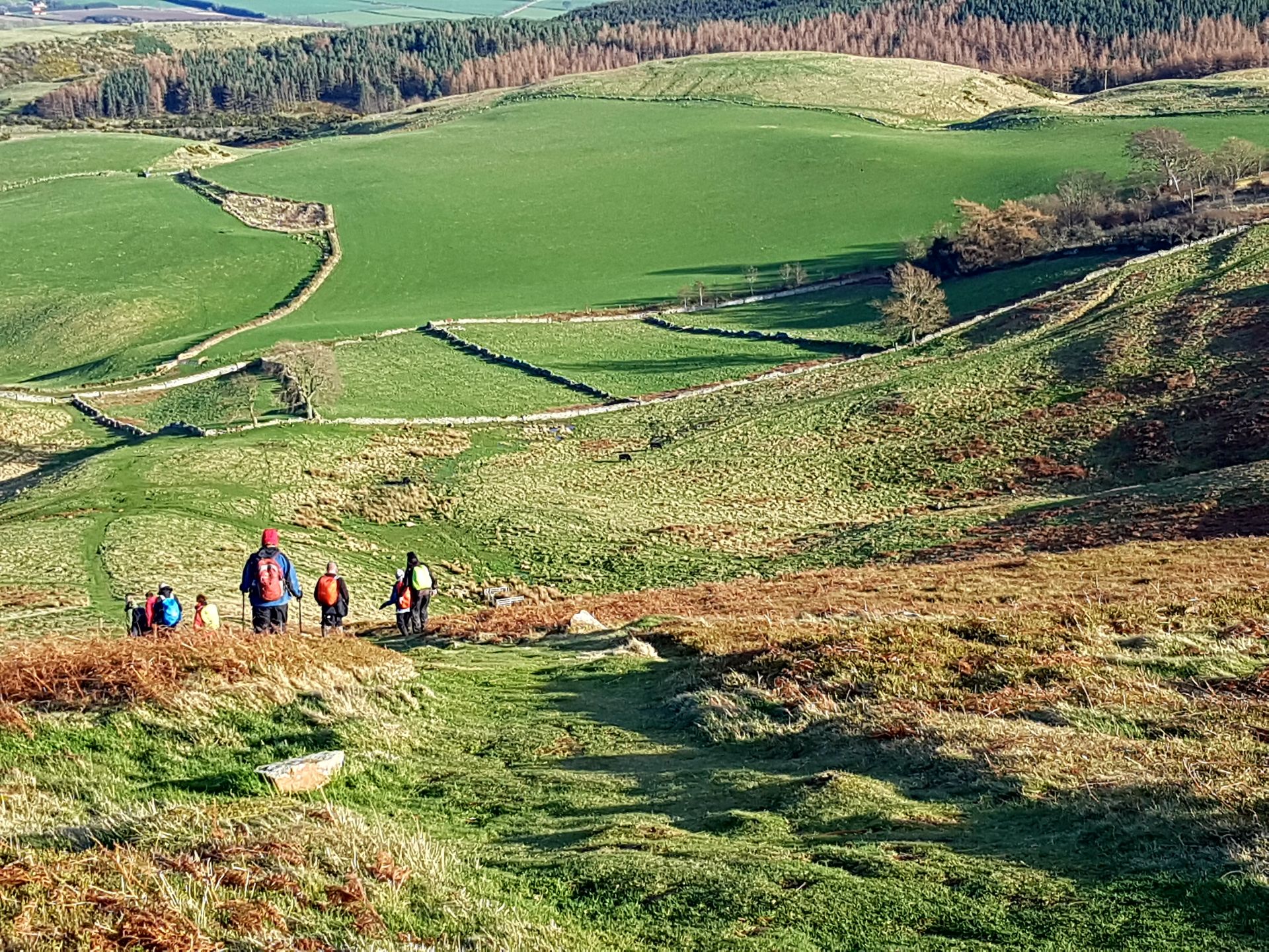 Off HUmbleton Hill
