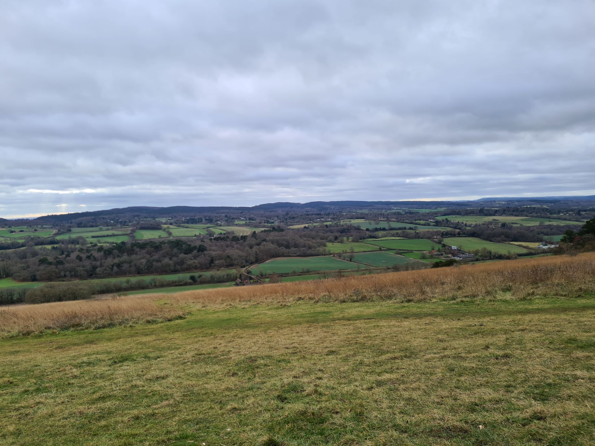 View from Blatchford Down