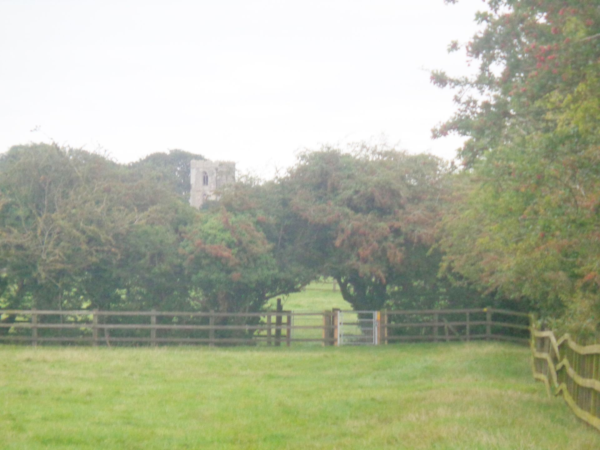 Public footpath through Radcliffe Donkey Sanctuary, Huttoft.