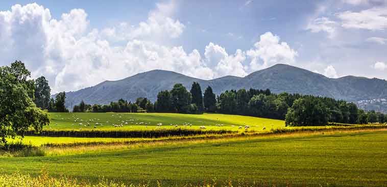 Malvern Hills