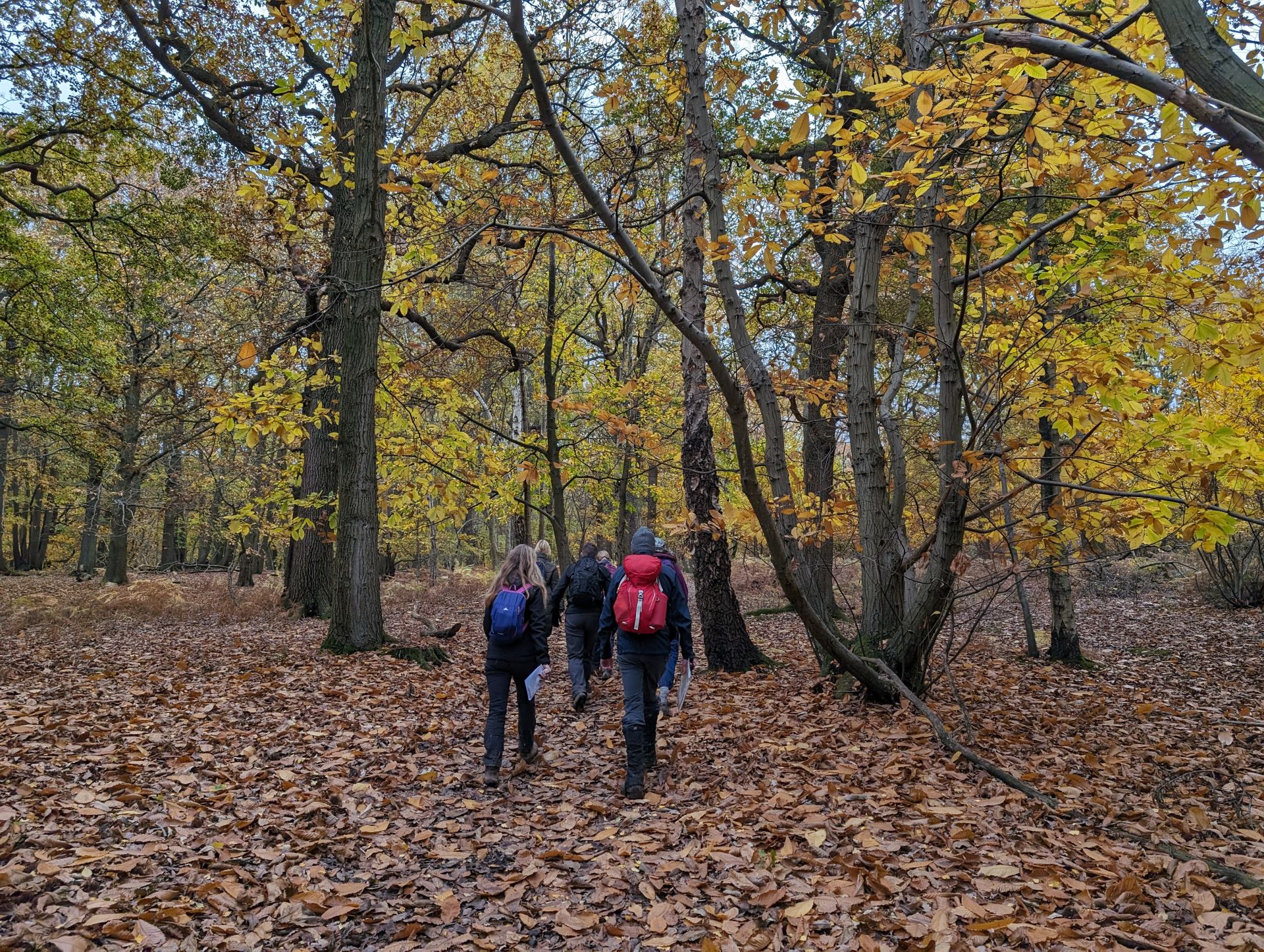 Galleywood Circular Ramblers galleywood-circular-ramblers