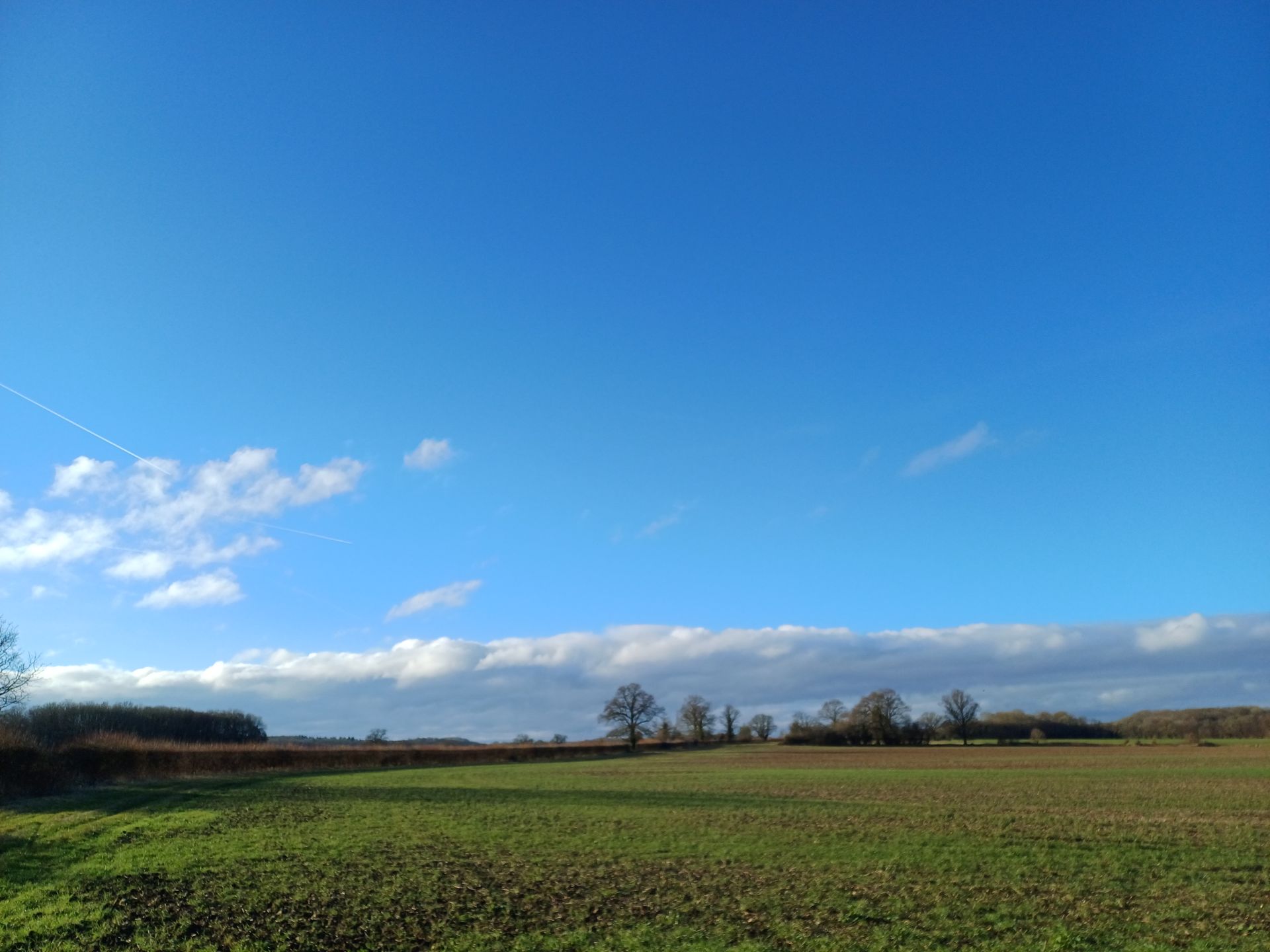 Fields