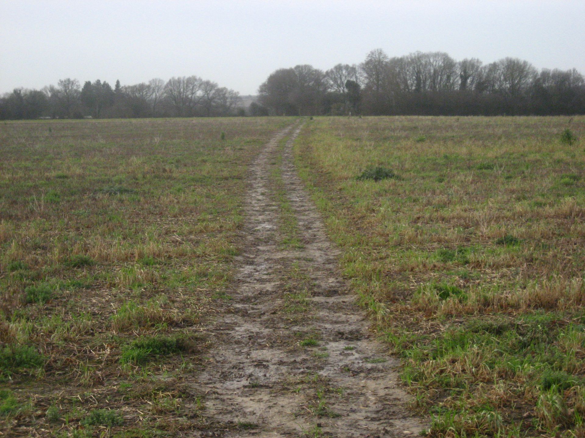 A track through a field