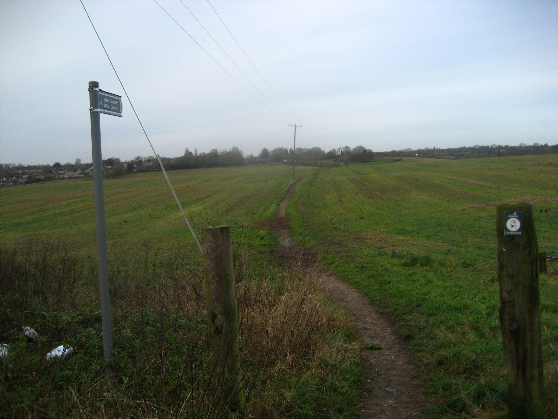 A waymarking sign pointing along a bridleway