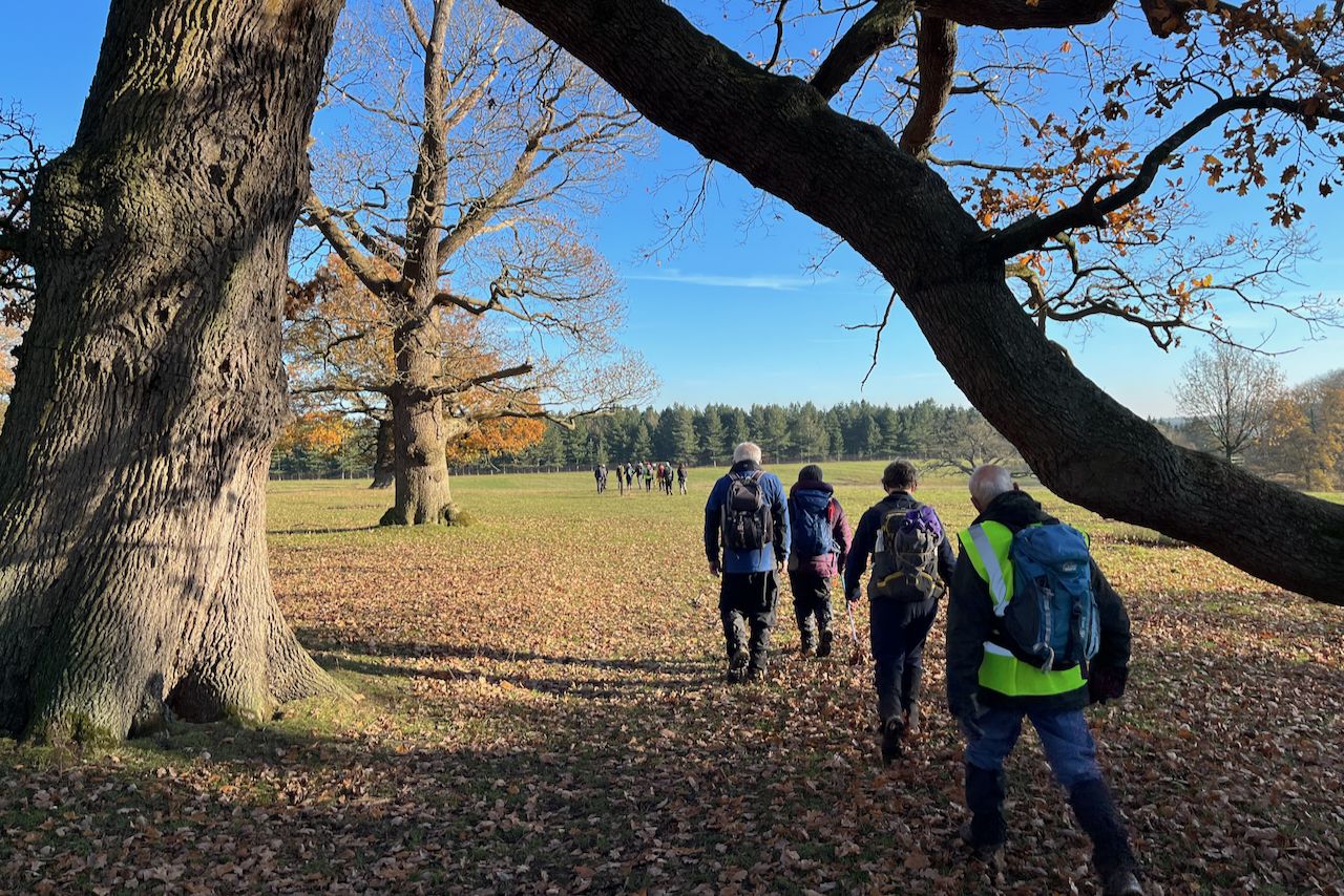 Walking from a forest into a field