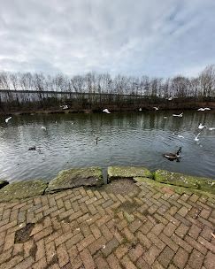three sisters wildlife