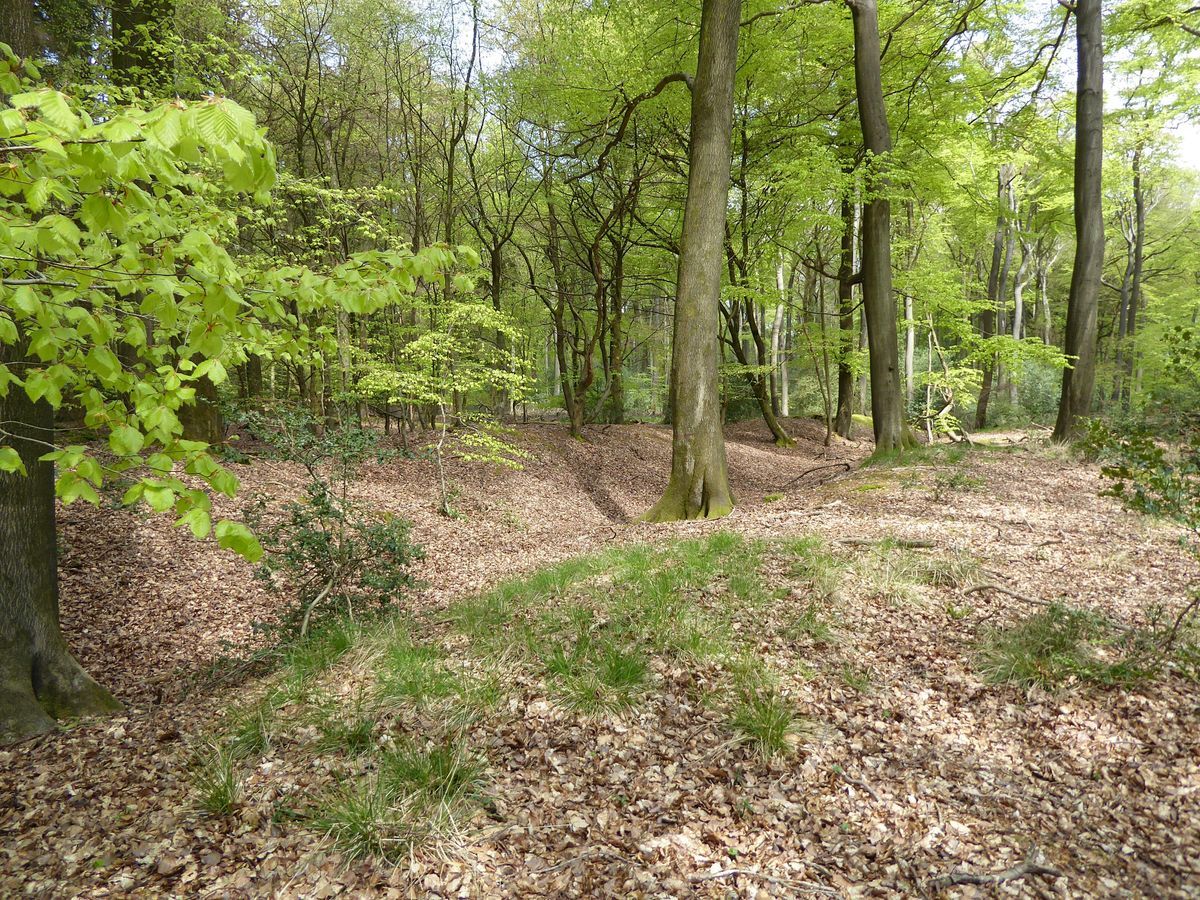 a well preserved section of Grim's Ditch