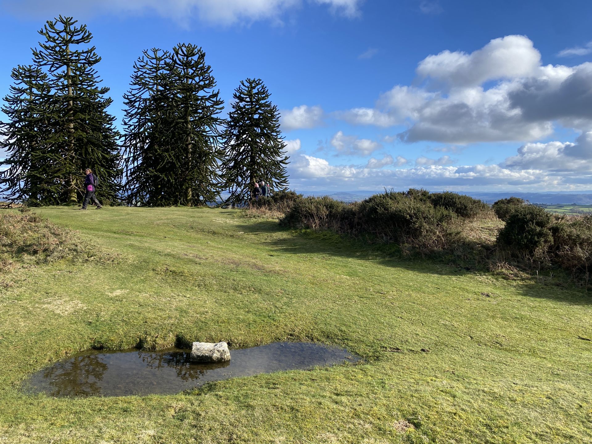 Hergest Ridge and Thereabouts - Ramblers