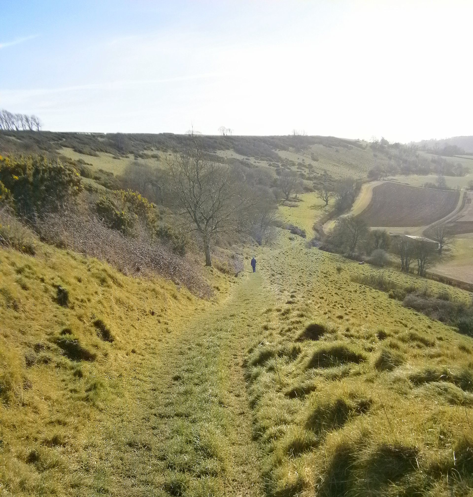  Downhill
