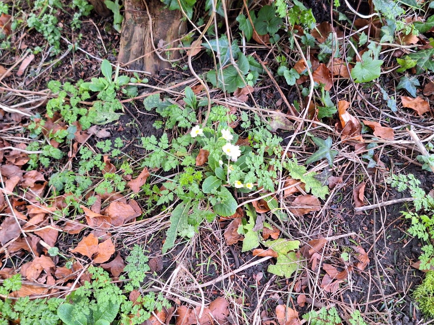  Spring is here....
