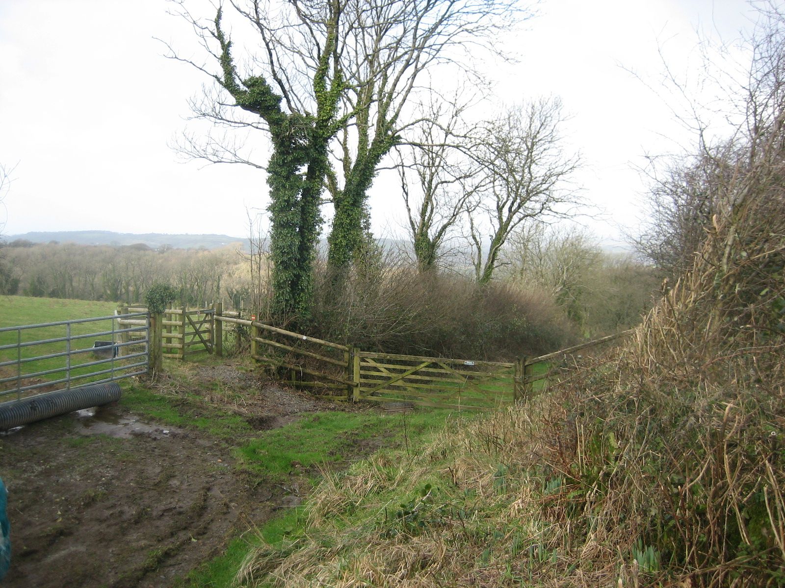Farm track