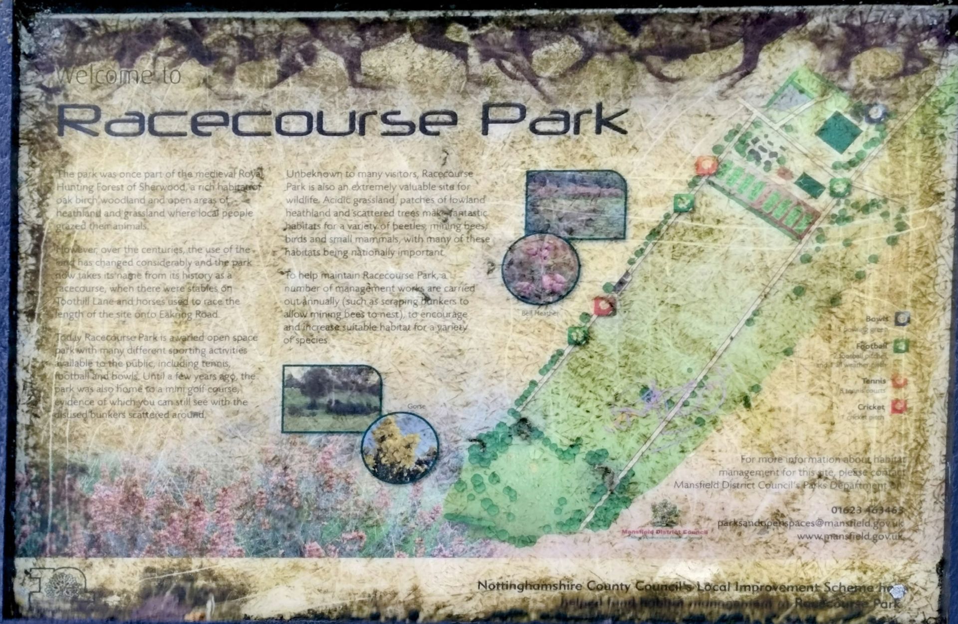 Racecourse park