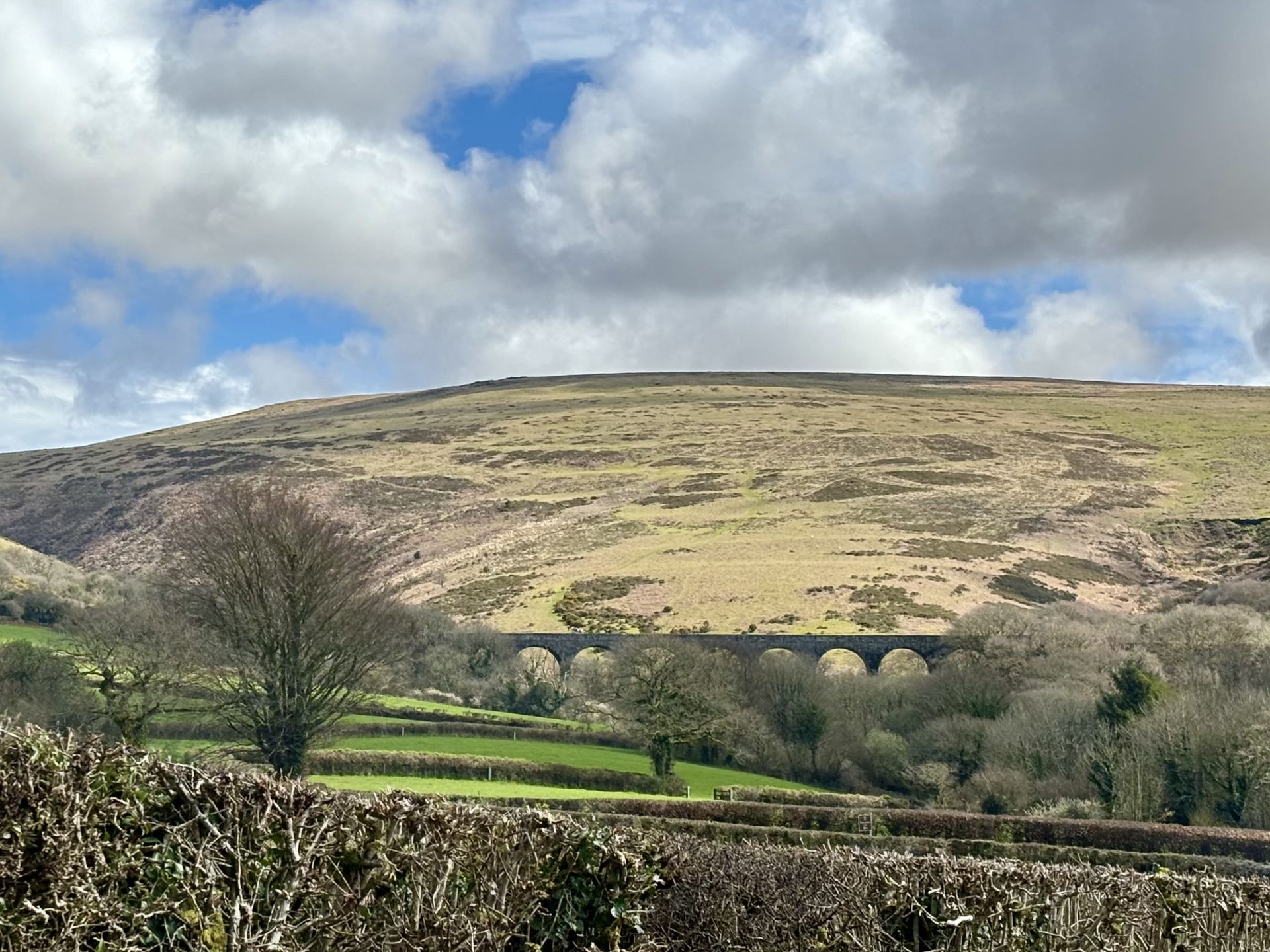Distant view of Lake Viaduct