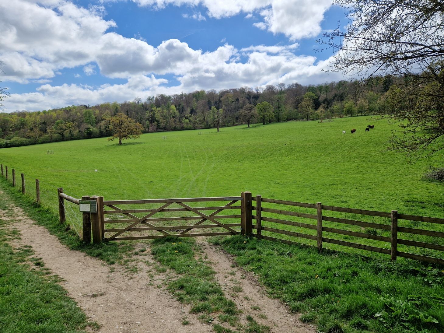 Walk Place Circular Walk to Polesden Lacey from Stony Rock Car Park - Ramblers