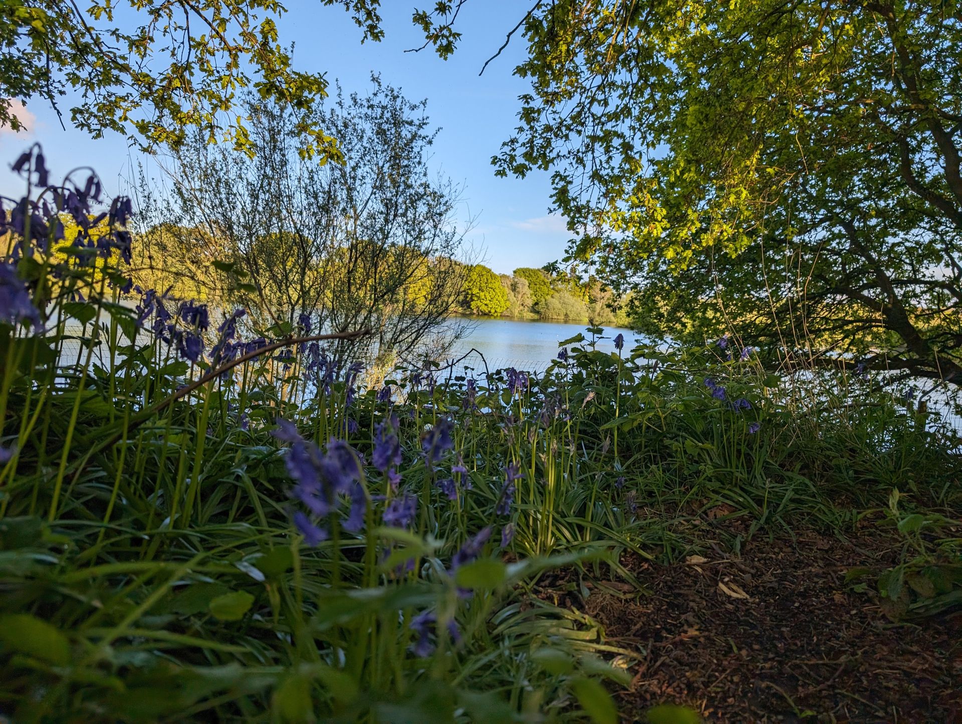 Donyland Pond