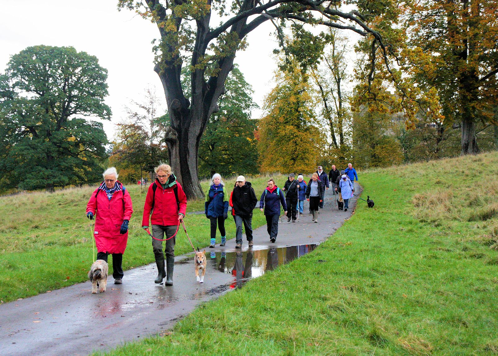 Wellbeing Walk Raby Castle
