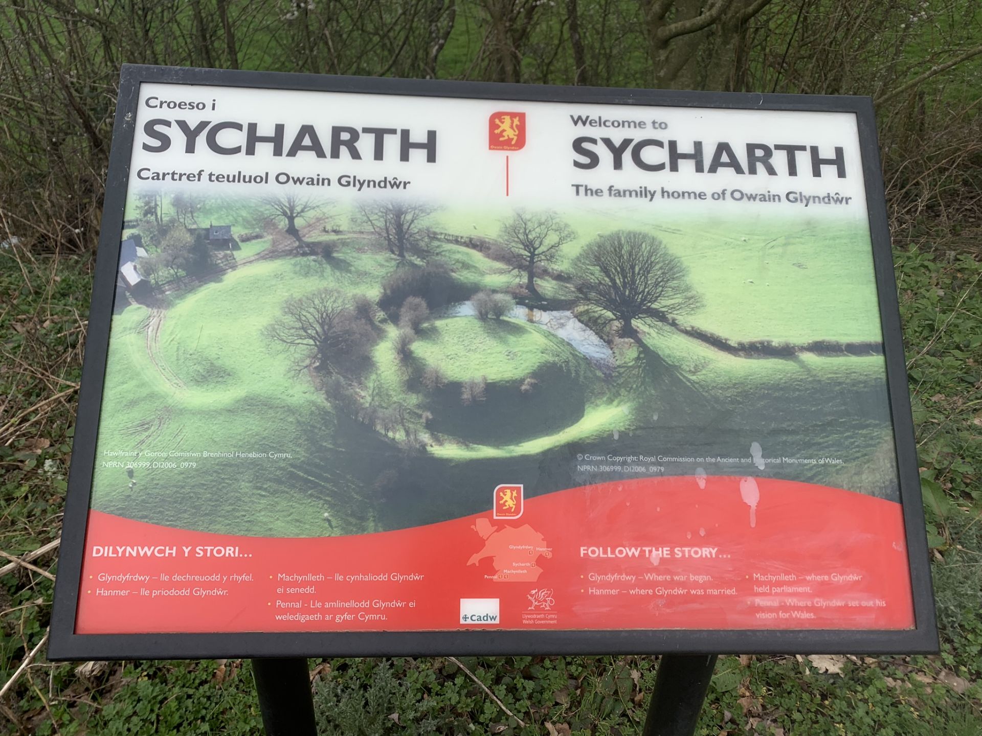 Sycharth