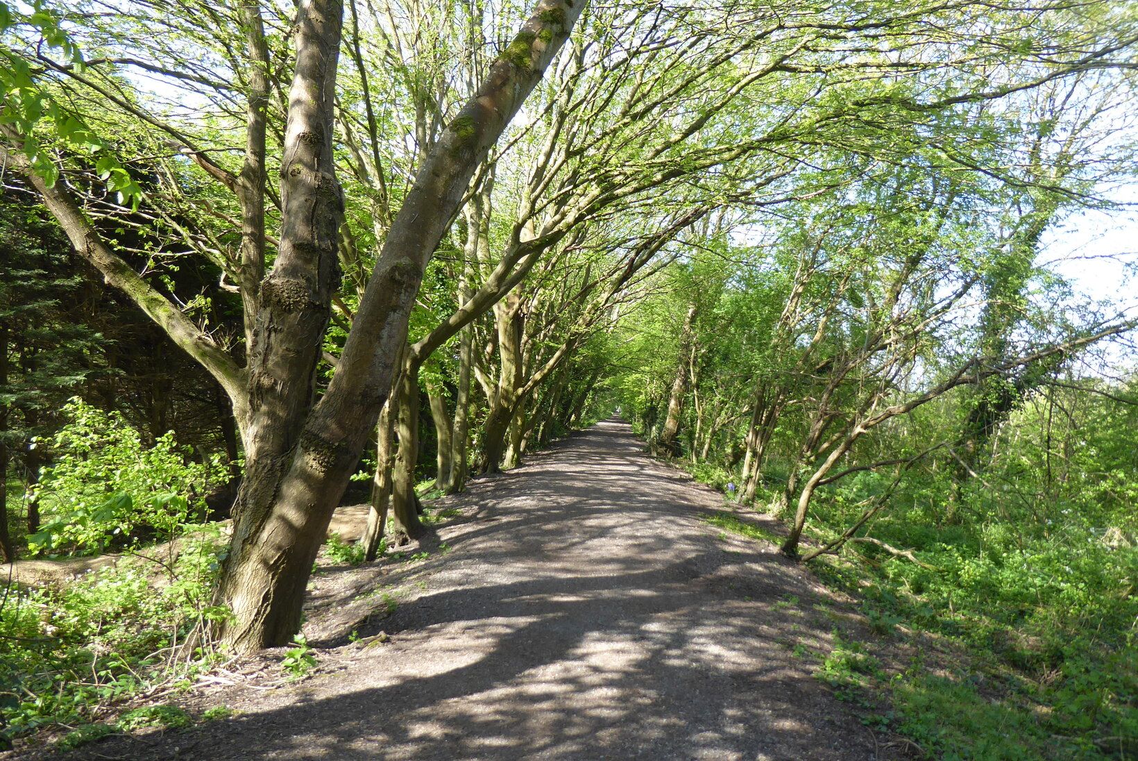 Meon Valley Trail at Wickham