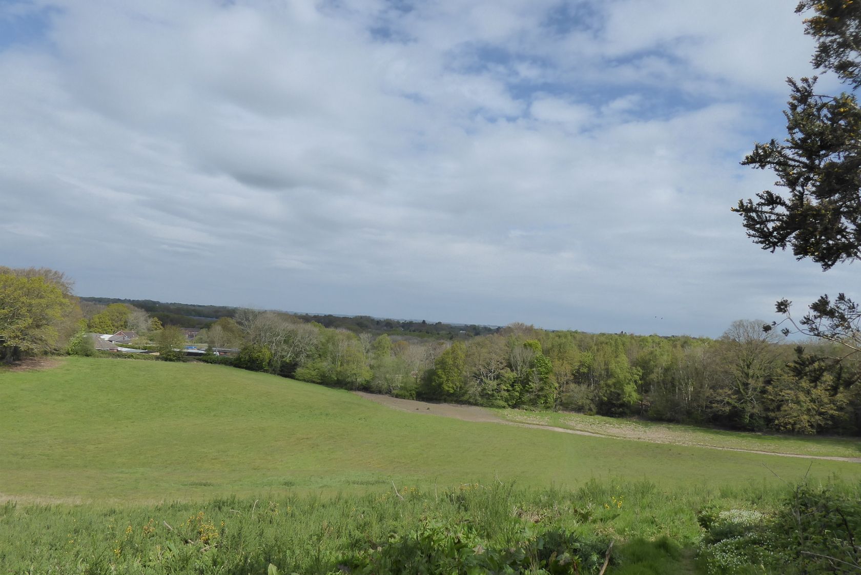 Viewpoint near Tankerhill Copse