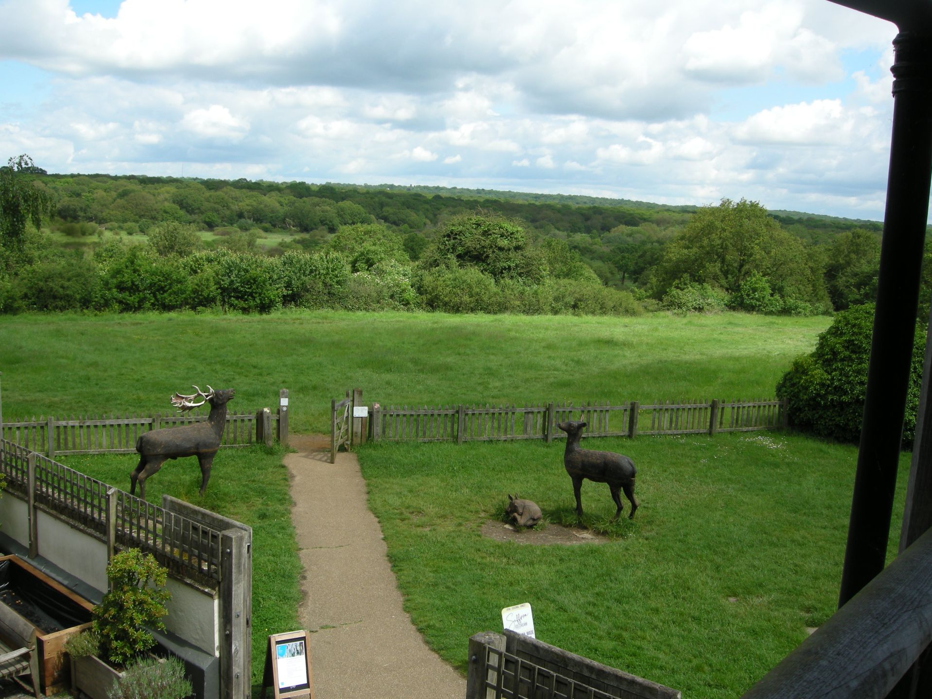 View of Epping forest from Chingford visitors centre